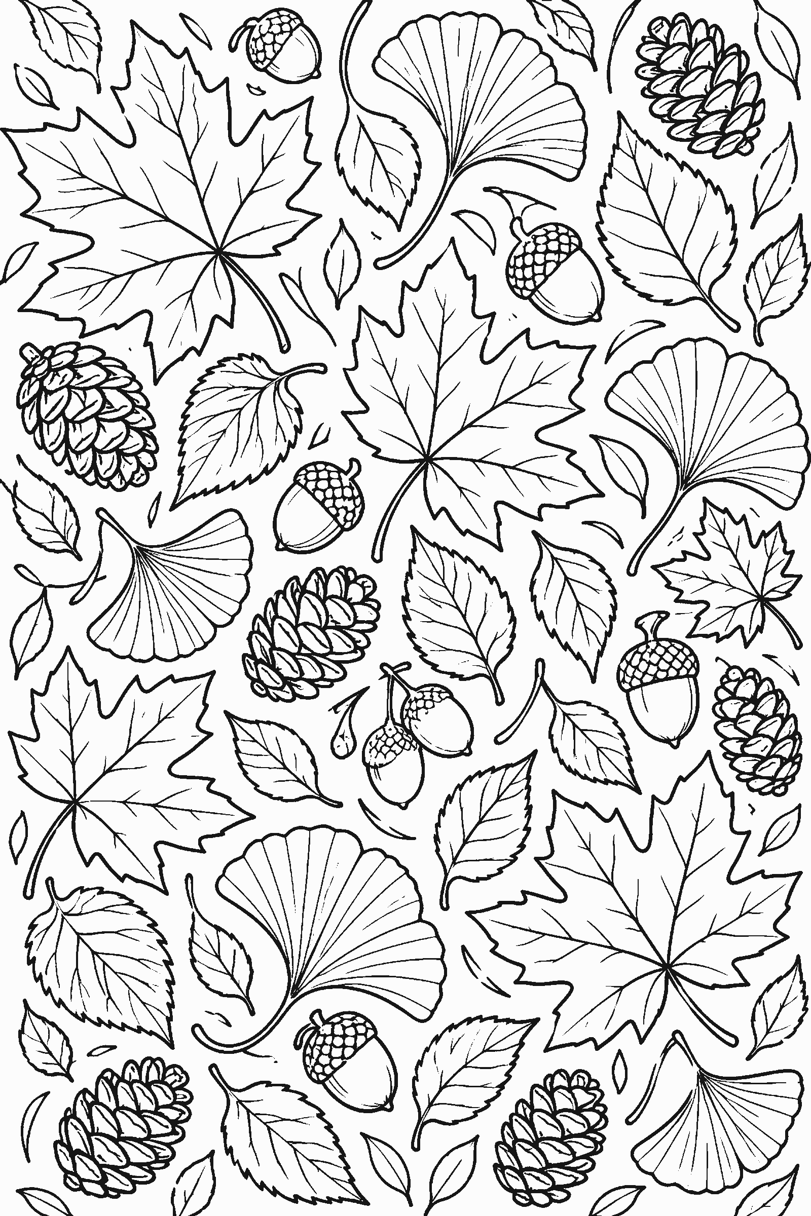 Full-page coloring pattern of falling maple, ginkgo and birch leaves with acorns and pinecones
