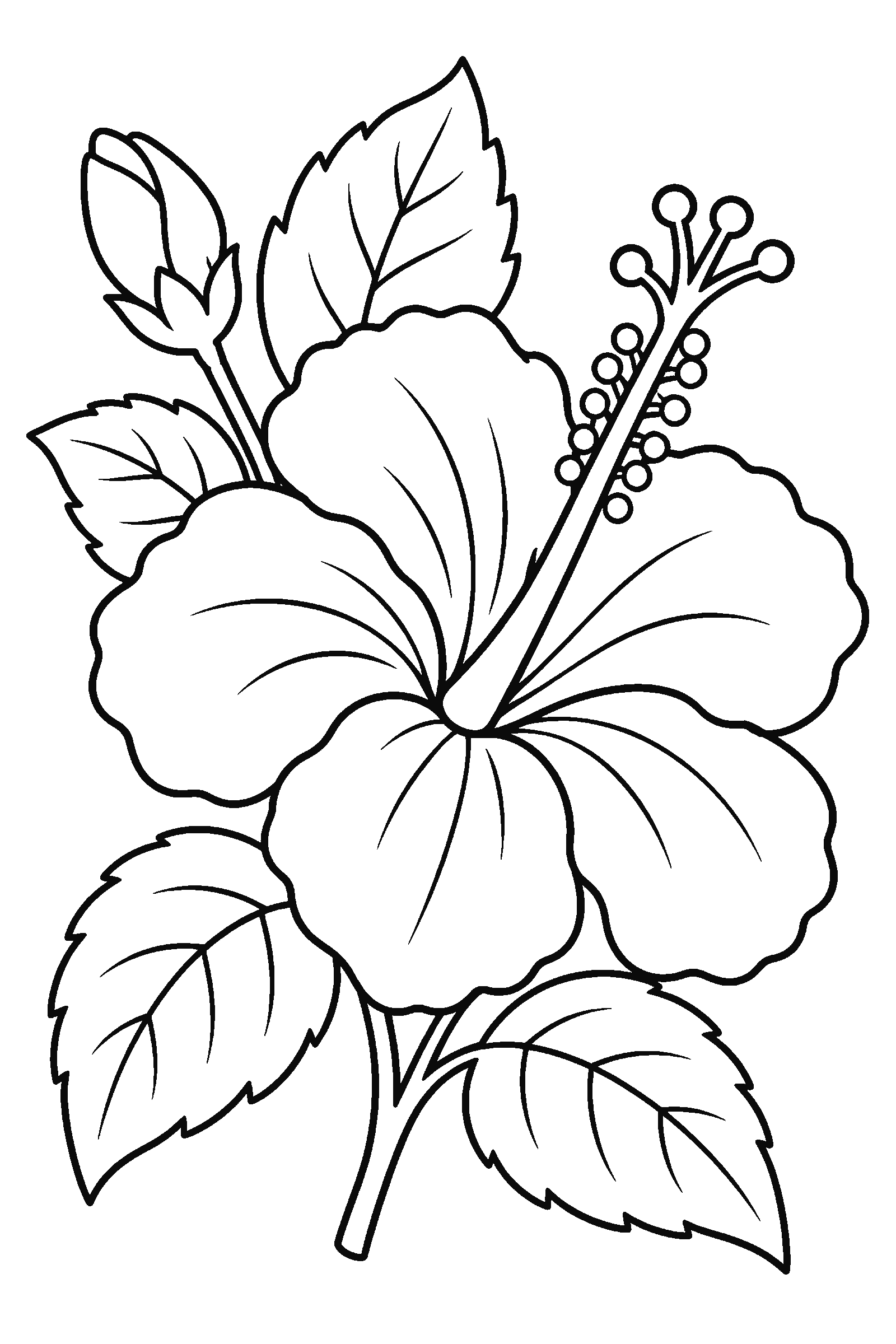 Coloring page of a hibiscus flower with leaves
