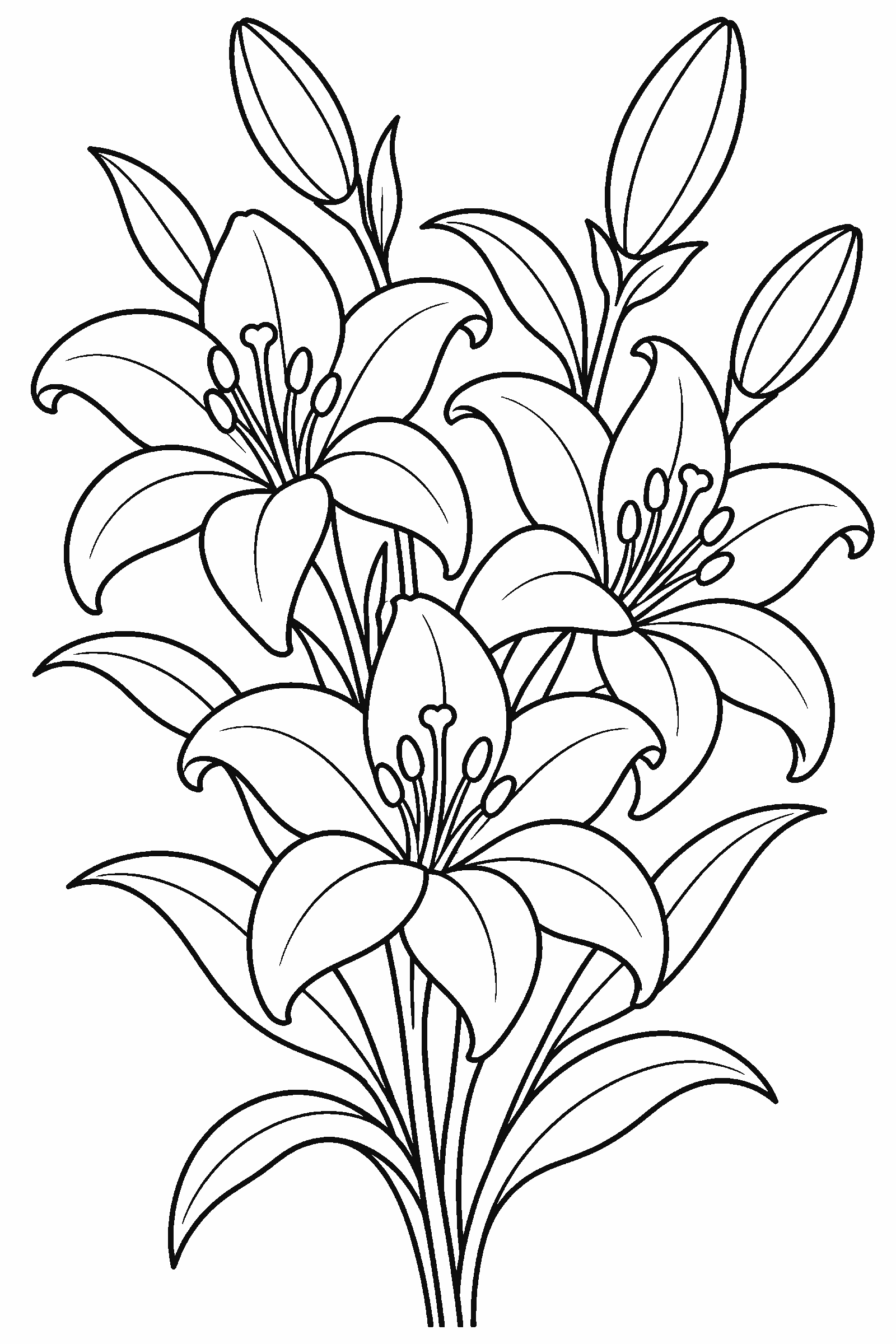 Coloring page of lilies with long stems and buds