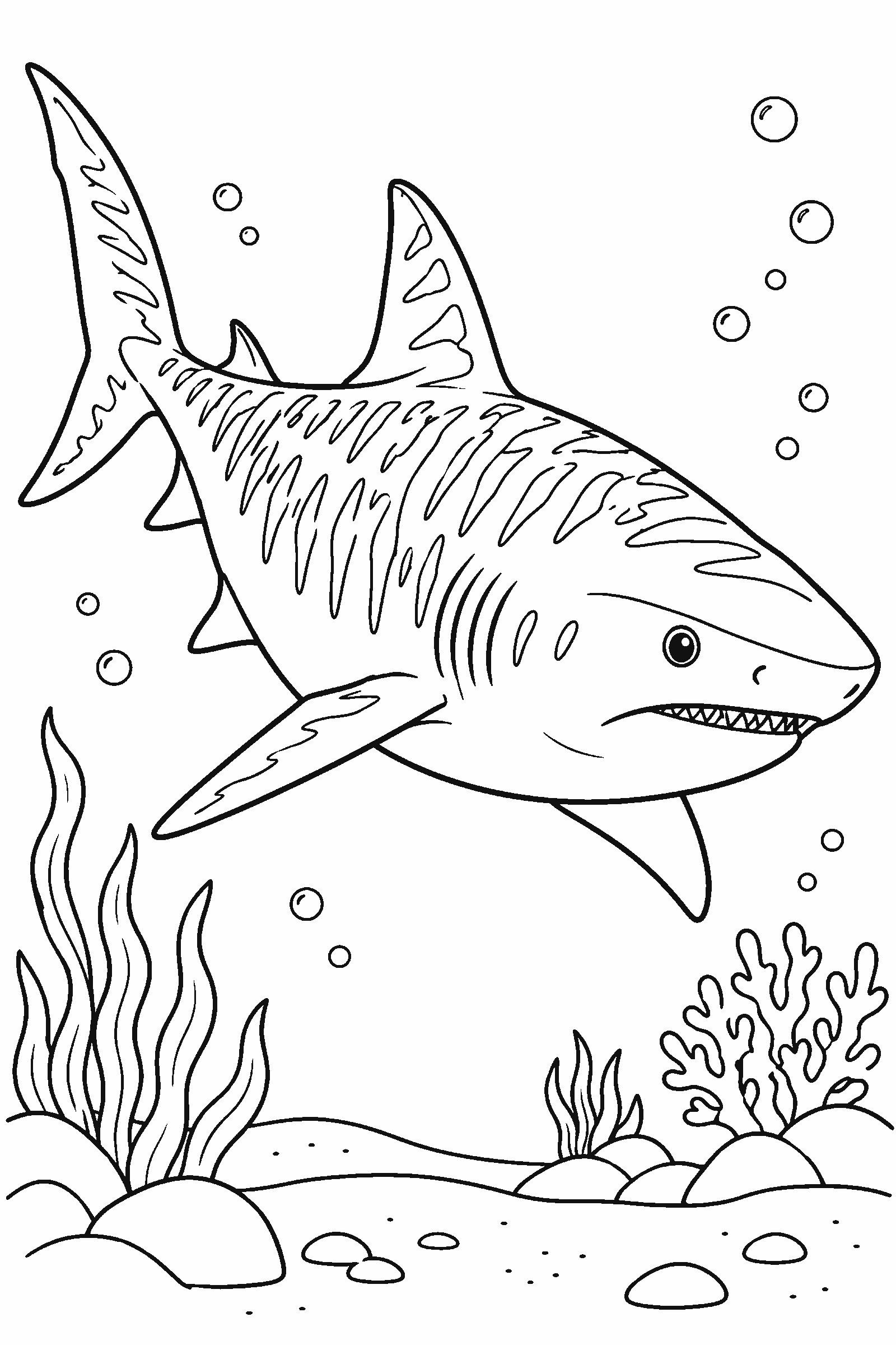 Coloring page of a tiger shark with stripes