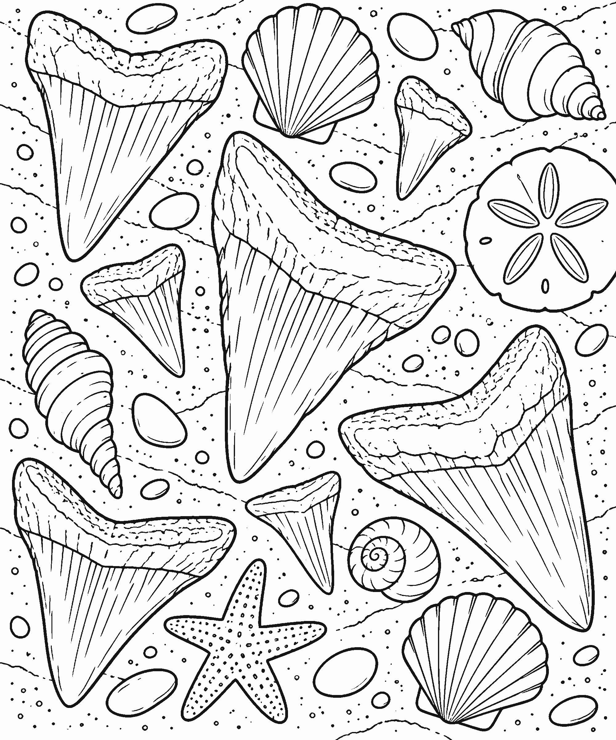 Coloring page of shark teeth fossils and shells arranged on sand