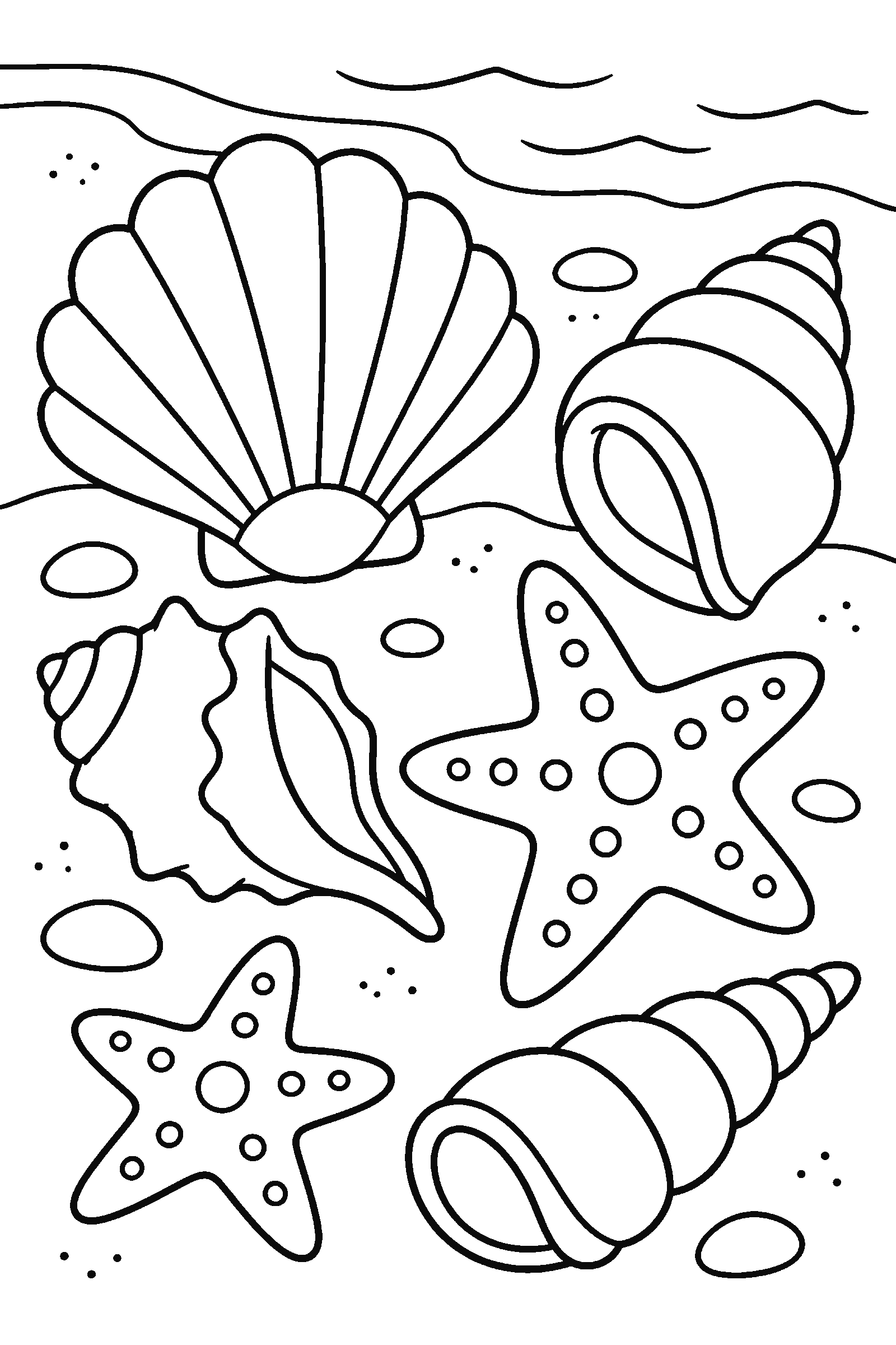 Coloring page of a collection of seashells and starfish on the sand